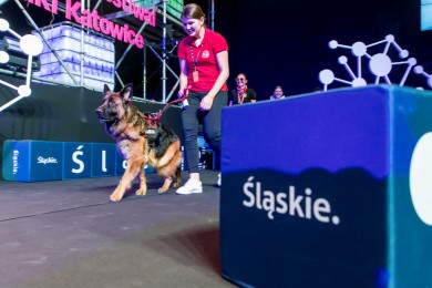  Śląski Festiwal Nauki "Katowice ". fot. Tomasz Żak / UMWS 