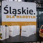Forum Zawodów Przyszłości. fot. Tomasz Żak / UMWS
